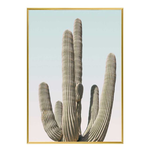 슬림 인테리어액자 Saguaro A2 사이즈 - 선인장 사막 풍경 벽걸이