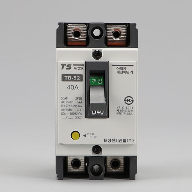 태성 산업용 배선 차단기 - 2P 40A TB 52 전기 용품