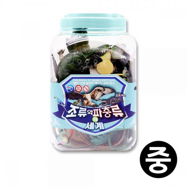 키즈인 조류 파충류 세계 중