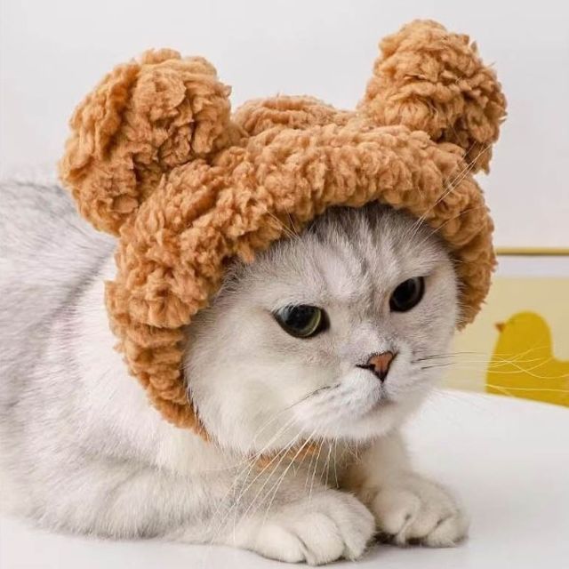 고양이 강아지 곰돌이 뽀글이 모자 - 반려동물 코스튬