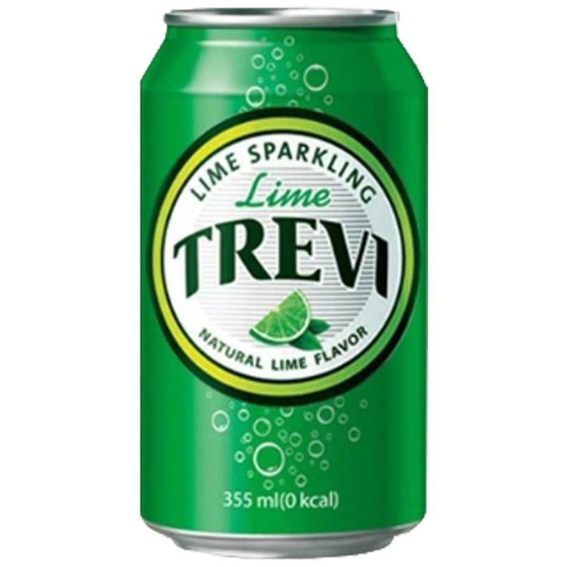 롯데 트레비 라임 355ml 24캔 탄산수 박스 세트