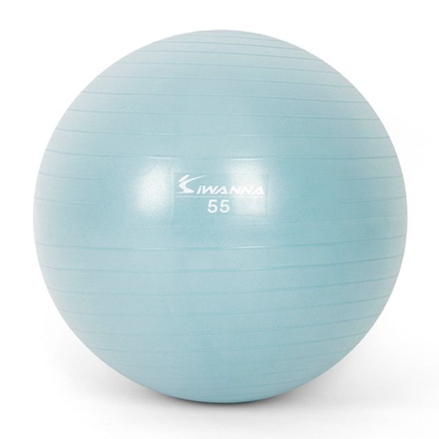 짐볼 운동짐볼 55cm 더스티 블루 마사지볼