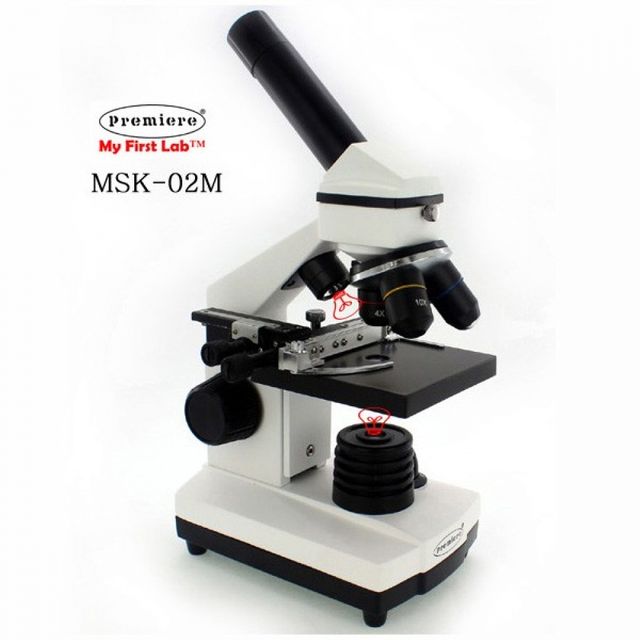 고급형 듀오생물현미경 MSK-02M