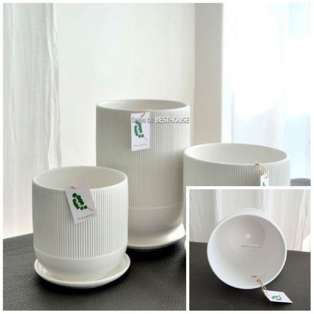 도기 화분 세로줄실린더 중 19x20cm 화이트무광 인테리어화분 원형화분 식물화분 베란다화분