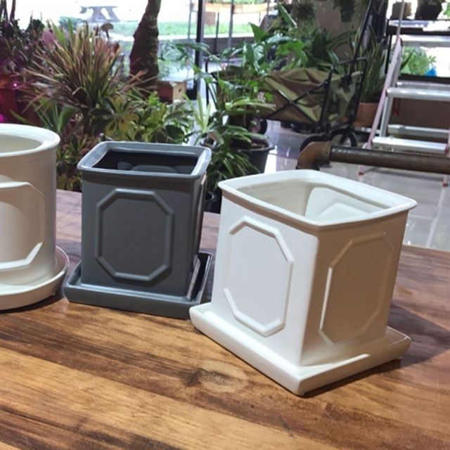 도기 몰딩 사각 화분 20x20x22cm 화이트 모던 인테리어 화분