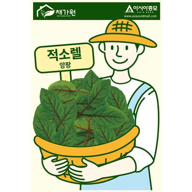톡쏘는 향기 적소렐 씨앗 허브 종자 - 독특한 맛의 요리 허브