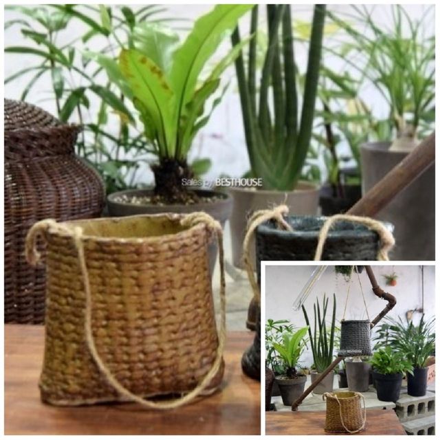 도기 다육이 화분 포켓 걸이 2호 12x13cm 랜덤컬러 도기화분 도자기화분 화분도기 도자기화분통