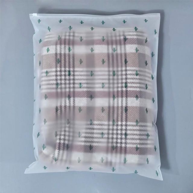 다회용 선인장 반투명 정리 40X50 지퍼백 여행용 5호 대형 슬라이드