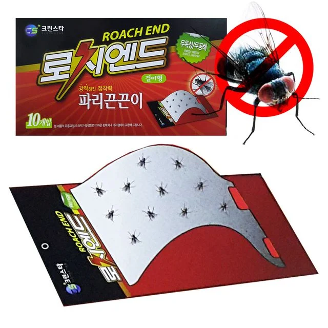 로치엔드 벽걸이형 해충 파리끈끈이 10개입 실내용 해충 퇴치