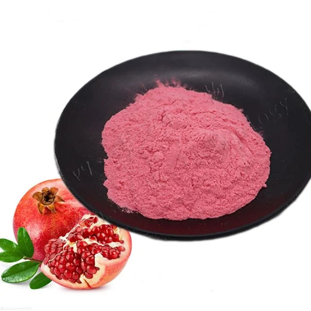 석류농축분말 1kg - 석류의 풍부한 폴리페놀과 항산화 기능 농축 분말