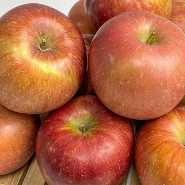 부사 사과 특품 3kg 중과 경북사과 맛있는과일 상큼한과일 디저트과일