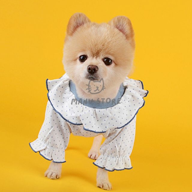 소형견옷 강아지옷여름옷 강아지옷
