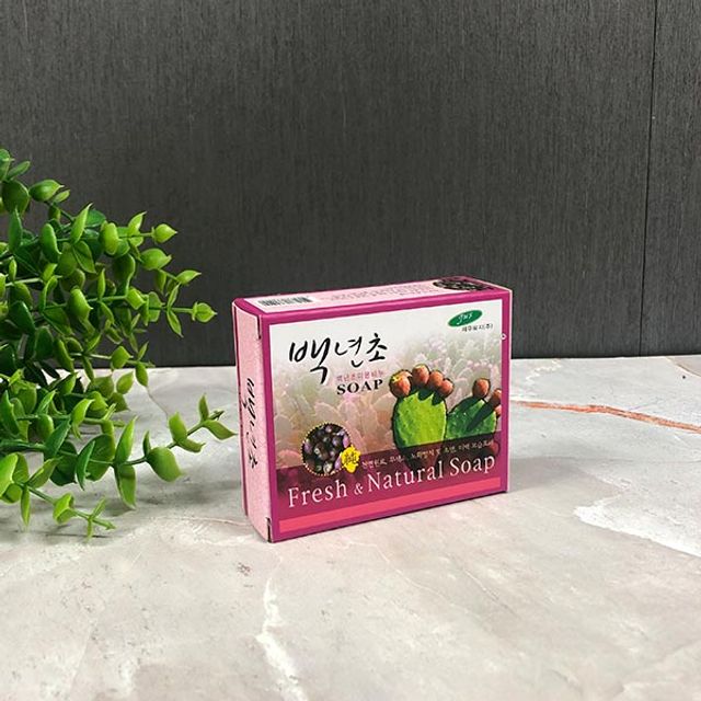 백년초 미용비누 1p 향기비누 세수 세수비누 세안비