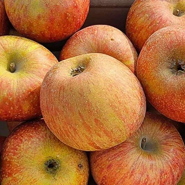 부사 사과 못난이 2kg 주스용사과 가정용사과 기스사과 맛있는사과