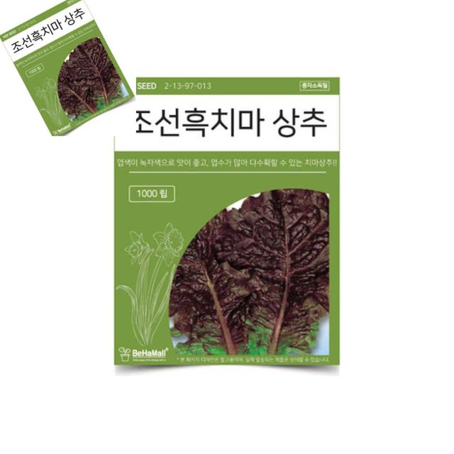 텃밭 채소 씨앗 조선흑치마 상추 상추씨앗 상추종자 상추키우기 쌈채소씨앗