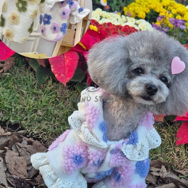 강아지봄옷 강아지옷 강아지외출복