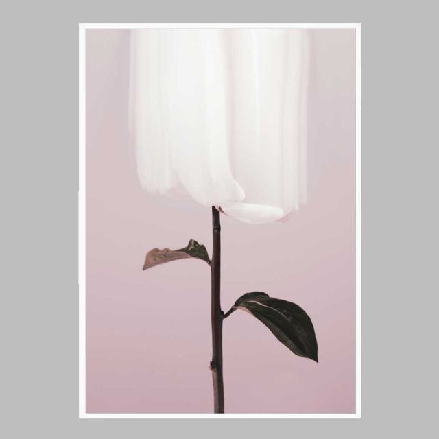 꽃 인테리어액자 flower No4 A2사이즈 - 벽걸이용 고급 프린트