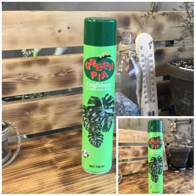 그린피아 잎광택제 스프레이 750ml 화초잎광택제 식물잎광택제스프레이 가드닝소품 관엽식물