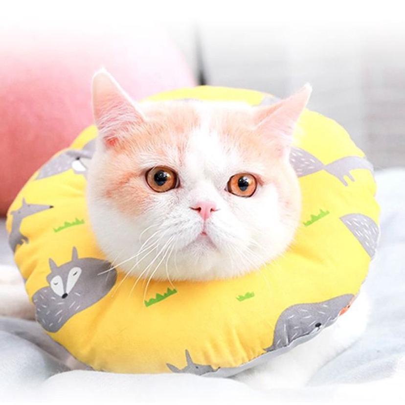 강아지 목 보호대 넥카라 S - 애견 쿠션 깔대기