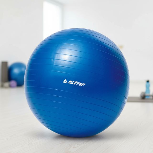 다이어트 짐볼 피트니스 짐볼 45cm 트레이닝 필라테스 스트레칭