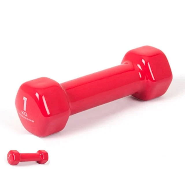 덤벨아령 팔운동아령 아령 PVC 컬러아령 1.0kg 단품1개 핫핑크