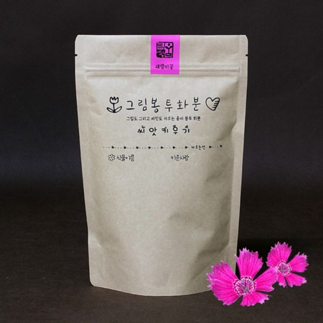 그림봉투화분 패랭이꽃 키트 - 색다른 꽃 모양 관찰 및 계절 학습용 재배 세트