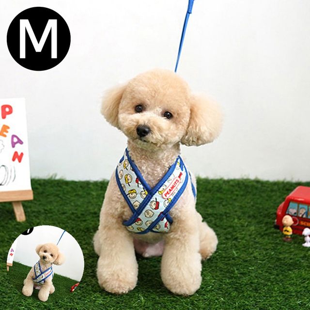 강아지 리드줄 피너츠 하네스 세트 블루 M 산책줄