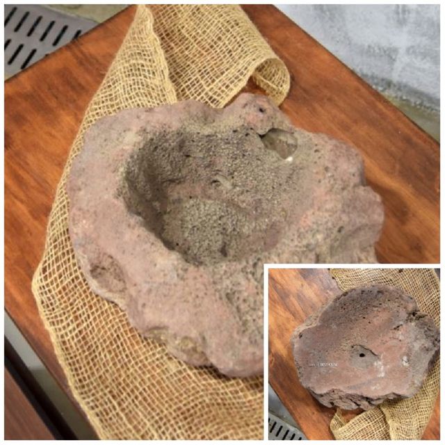 석부작용 화산석 4호 특대 약 35cm 화분인테리어 식물인테리어 인테리어화분 인테리어화분바구니