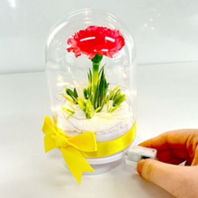 유리돔 무드등 선물 장미 금장미 조명 부모님 비누꽃 어버이날 생일선물꽃