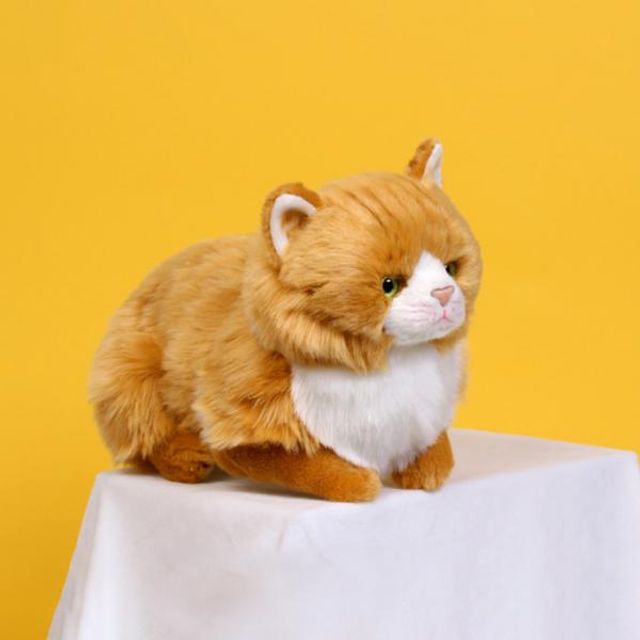 위더펫 리얼 고양이 인형 페르시안 친칠라 브라운