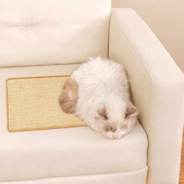 고양이 벽부착 사이잘 스크래쳐매트 20x40