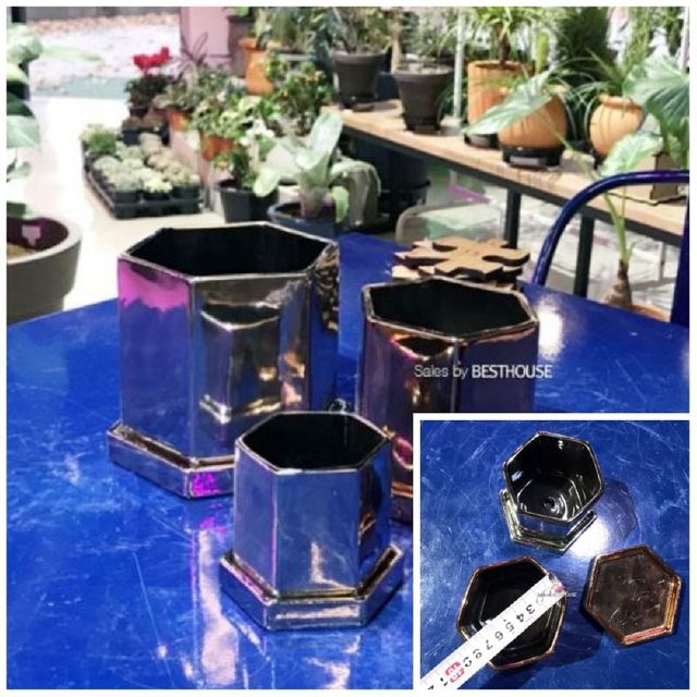 도기화분 육각 8x8cm 실내가드닝 개업화분 거실꾸미기 개업미니화분
