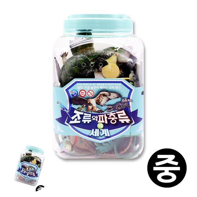동물관찰학습 동물교육놀이 조류와파충류 중