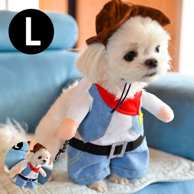 강아지코스튬 펫의상 펫 의상 할로윈 코스튬 카우보이 L