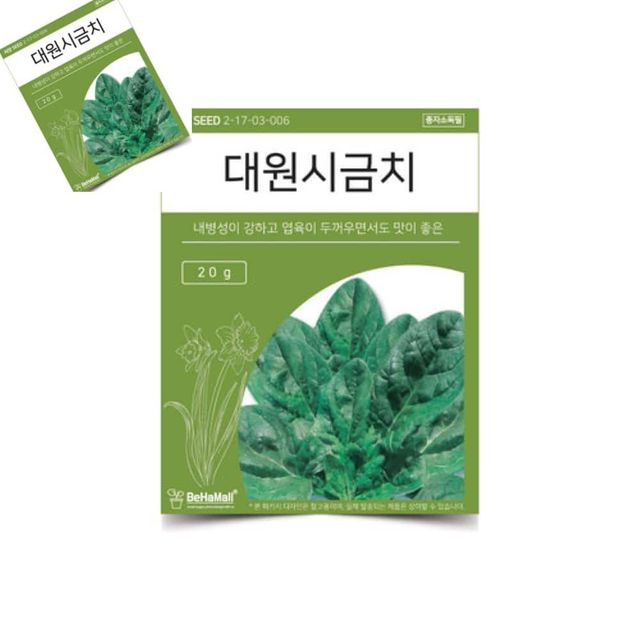 텃밭 채소 씨앗 시금치 시금치씨앗 시금치종자 시금치키우기 야채씨앗