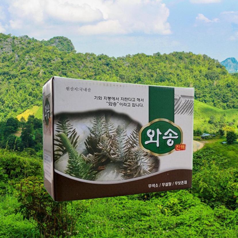 국내산 베스트 와송진액 100ml 60팩 건강 음료 세트