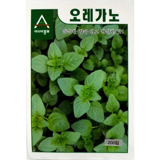 박하향 오레가노 씨앗 요리용 허브 종자 - 향신료 재배 필수