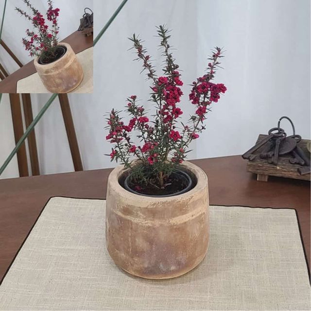 아쿠아 토분 12x14cm 미니Jar 토분화분 인테리어화분 꽃화분 거실화분