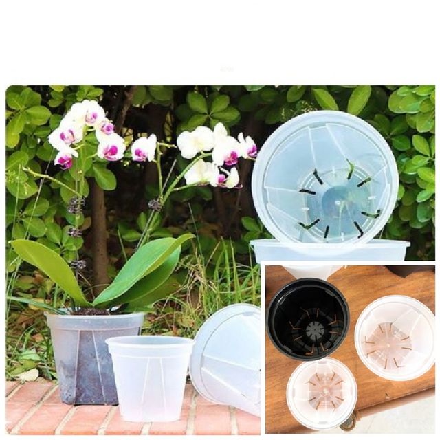 플라스틱 표준형 슬릿화분 삽목화분 10cm 투명 원형화분 식물화분 베란다화분 옥상화분