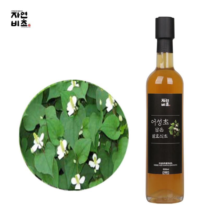 자연비초 어성초 발효 식초 500ml 무설탕 건강 식초