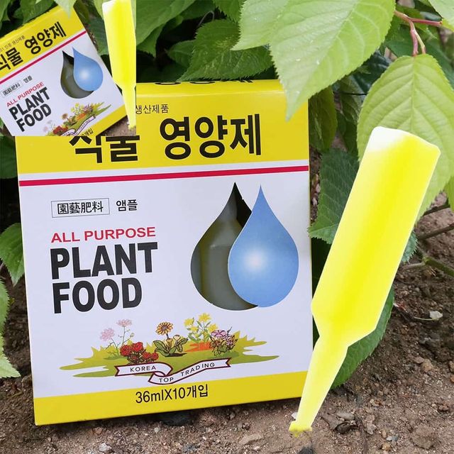 식물 10P 화초 수목 난 화분 비료 앰플 식물활성제 분갈이용