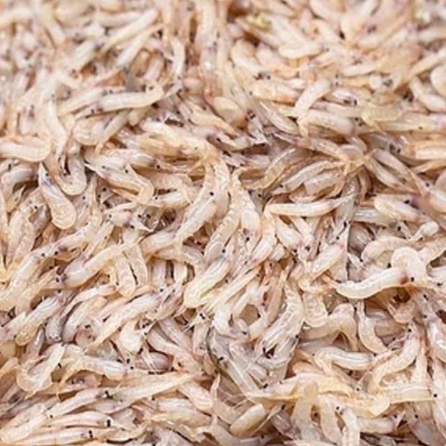 생새우 500g 국산새우 육수용새우 감칠맛재료 제철수산물