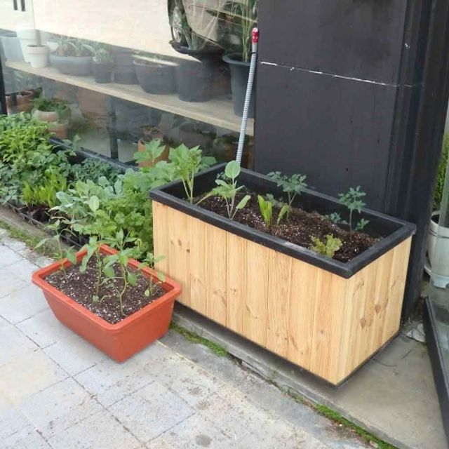 베란다 텃밭용 방부목 화분 82x40x45cm - 내구성 높은 원목 화분