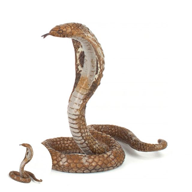 동물 모형완구 킹코브라, 동물관찰학습 놀이세트