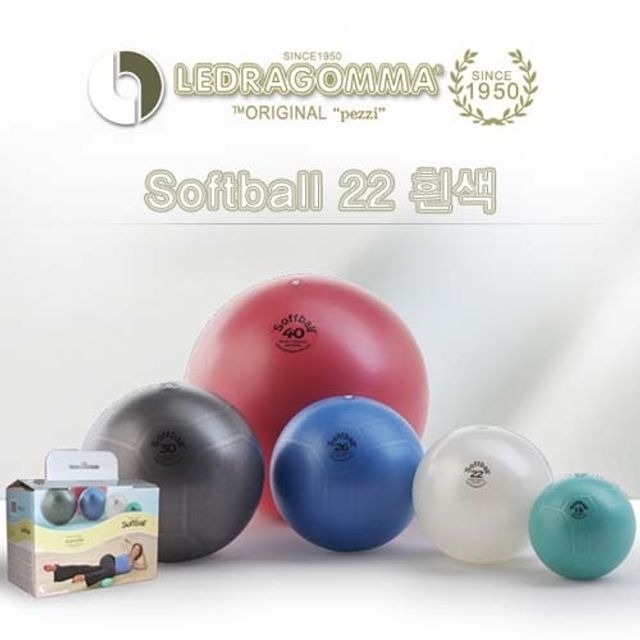 레드라곰마 미니짐볼 맥스카페 소프트볼 22 - 초보자 맞춤 홈트