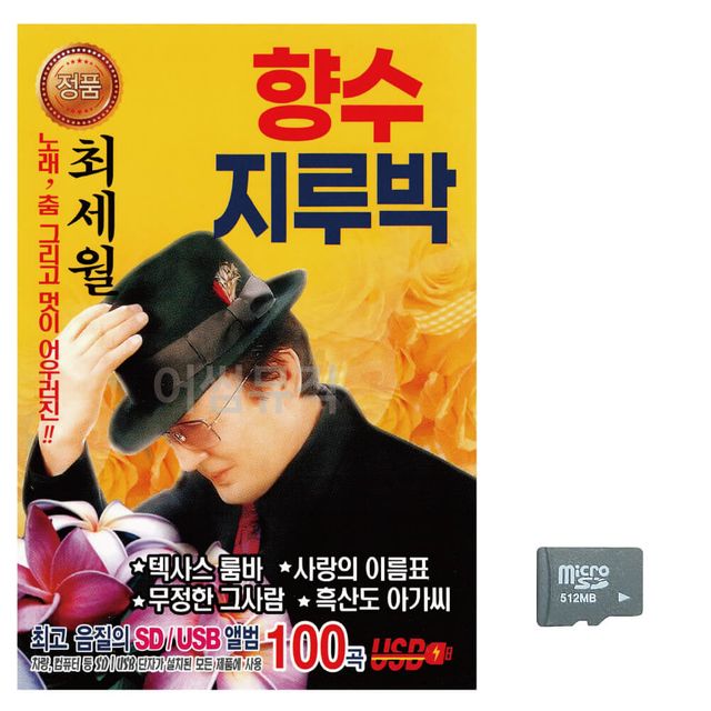 음악SD 최세월 향수 지루박