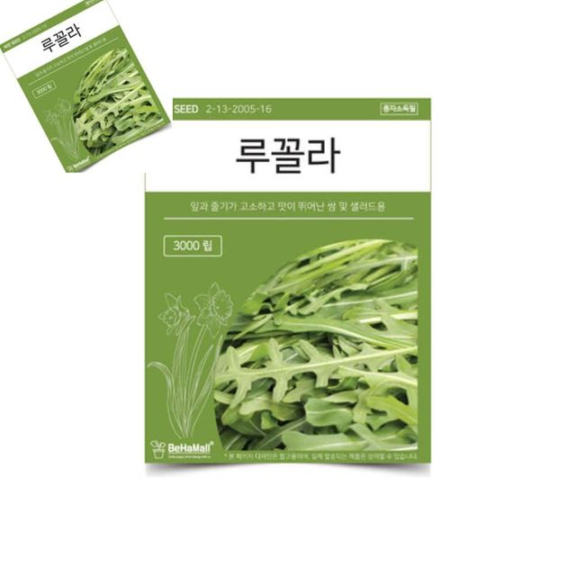 텃밭 채소 씨앗 루꼴라 루꼴라씨앗 루꼴라종자 루꼴라키우기 식용씨앗