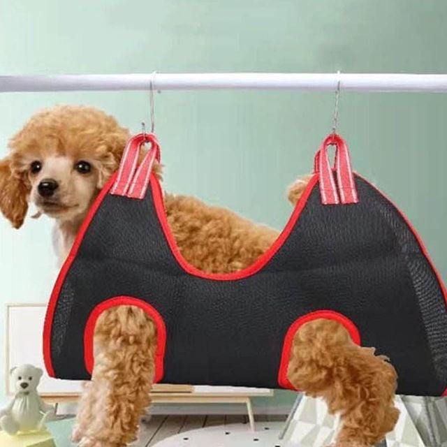 발톱깍이기 반려동물 해먹 셀프 미용 고양이 강아지 반려동물미용