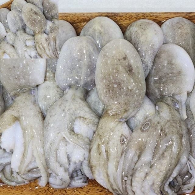 냉동 쭈꾸미 2kg 수산물 손질냉동 자숙보관 간편요리