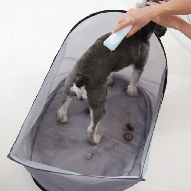 펫드 강아지드라이룸 강아지드라이기 애견 반려견 그레이 옐로우